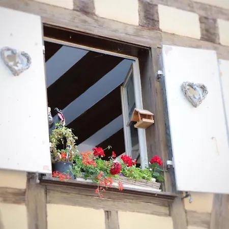 Appartement Renove A Colmar Avec Jardin Et Terrasse - Fr-1-722-11 Exterior foto