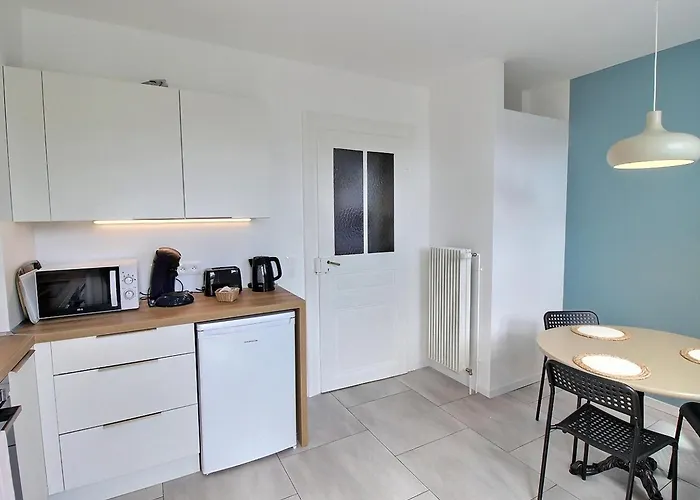 Appartement Renove A Colmar Avec Jardin Et Terrasse - Fr-1-722-11